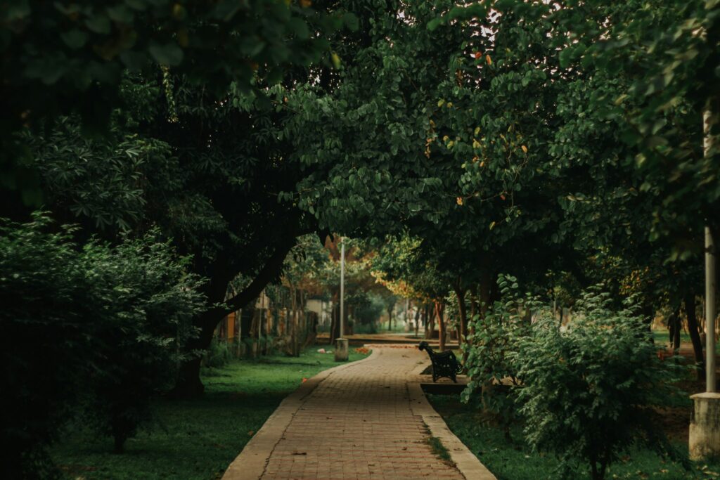 Featured image for the Central Park San Mateo CA Parks & Trails Lifestyle Guide