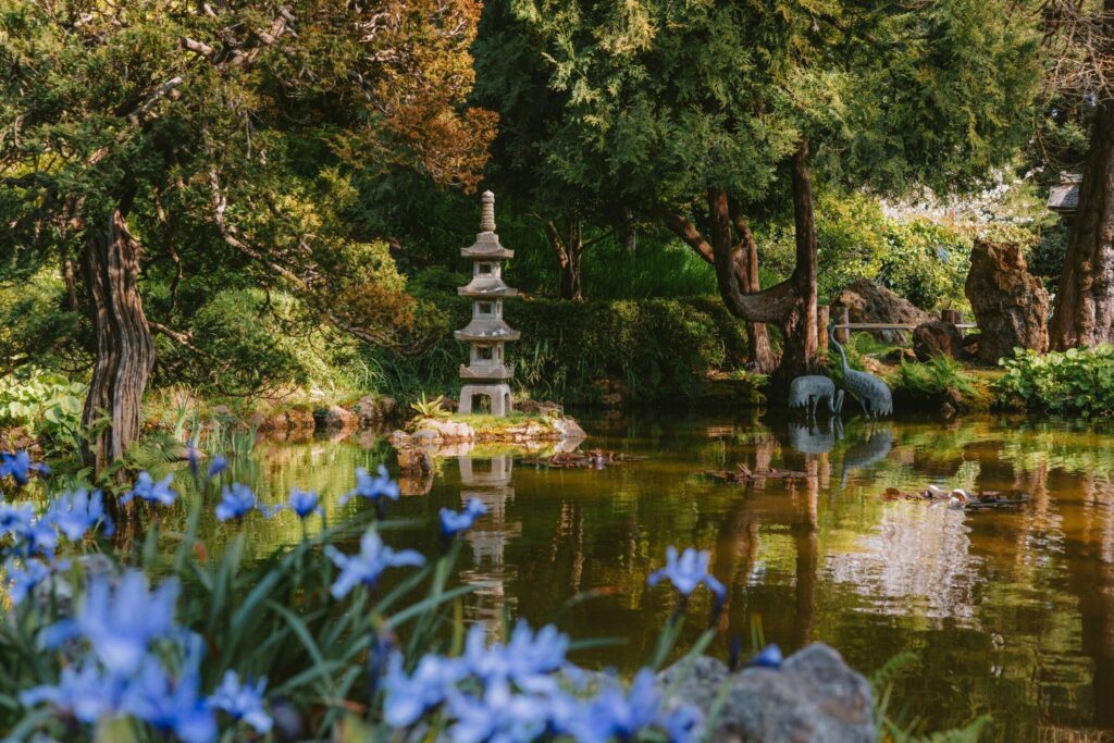 a peacefgul japanese garden scene with a pagoda