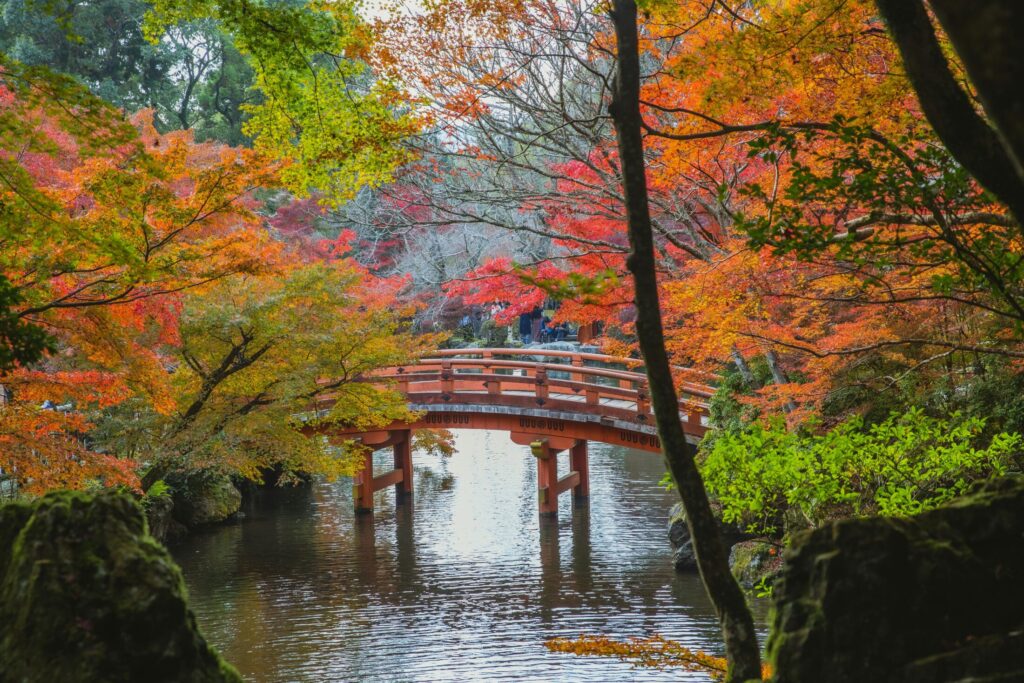 arched bridge over calm lake in japanese park