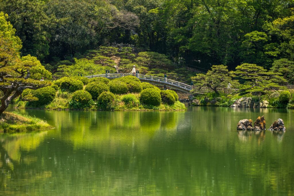 Serene japanese garden with reflective pond