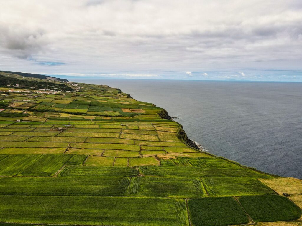 scenic landscape of lush coastal farmlands