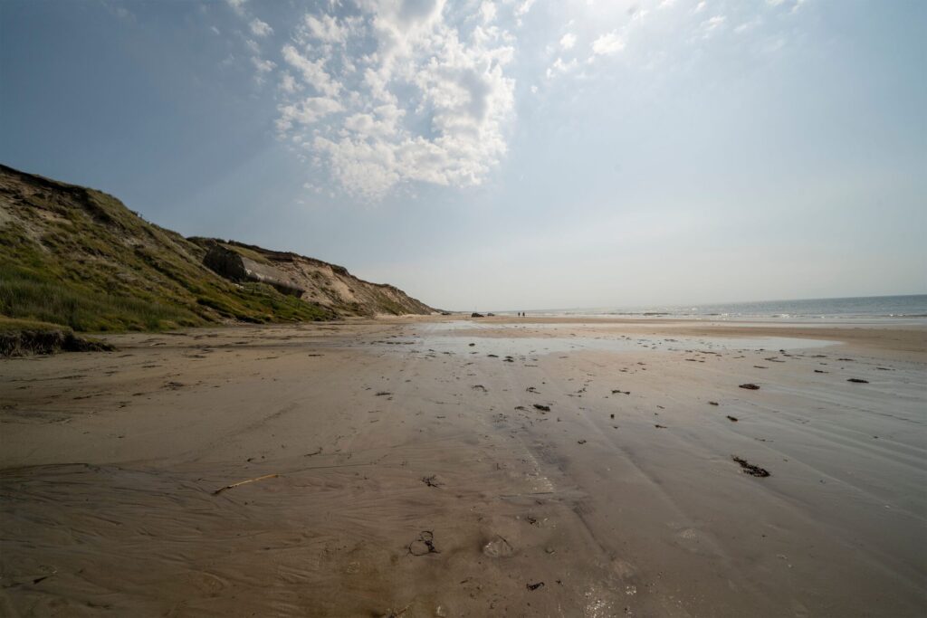 a wet sand on shore